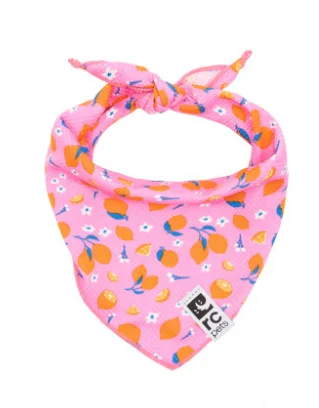 RC Pets Zephyr Cooling Dog Bandana - Zesty